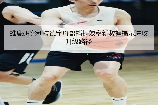 雄鹿研究利拉德字母哥挡拆效率新数据揭示进攻升级路径